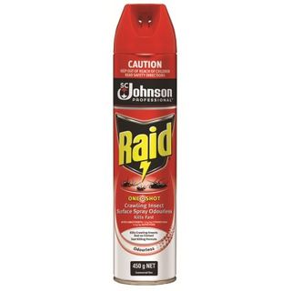 Raid 1 Shot Crawling Insect Killer-450g