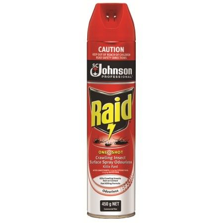 Raid 1 Shot Crawling Insect Killer-450g