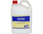 Gemini Sealer Gloss 5 Ltr Clearance