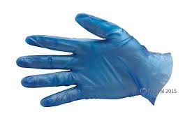 ProVal glove vinyl Eco Blue P/F Large
