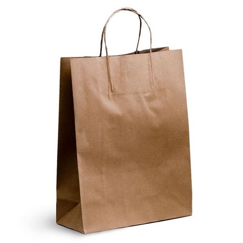 Kraft Paper Bags Twist Handl 350X260X110