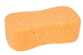 Sponges