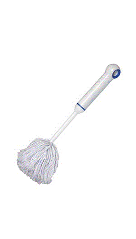 dish mop