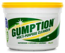 GUMPTION PASTE 500GM