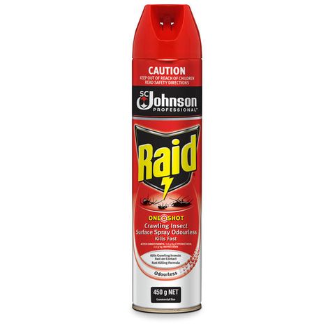 RAID ONE SHOT CRAWLING INSECT KILLER ODOURLESS 450G