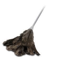OATES LARGE FEATHER DUSTER - (B-21002 / 164912) - EACH