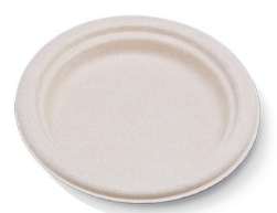 GREENMARK 255MM / 10" ROUND SUGARCANE UNBLEACHED FIBRE PLATE ( BYP10 ) - 50 - SLV