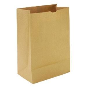 BROWN # 4 SOS 240 X 125MM PAPER BAG - 500 -SLV