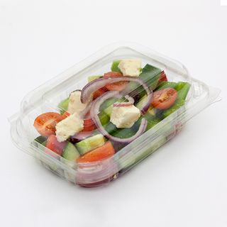 ENVIRO CHOICE LARGE SALAD PACK ( EV-FV0409 ) - 250 - CTN