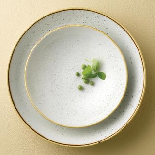 ROUND COUPE PLATE 288mm CHURCHILL STONECAST - BARLEY WHITE - 9975129-W - 12 - CTN