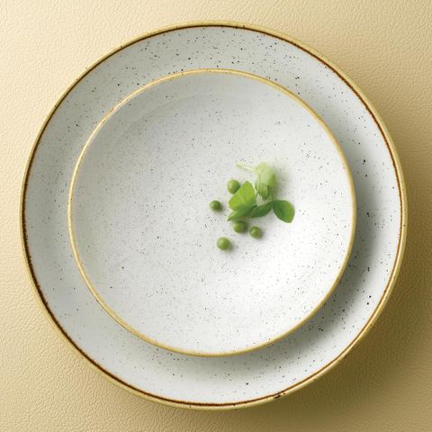 ROUND COUPE PLATE 288mm CHURCHILL STONECAST - BARLEY WHITE - 9975129-W - 12 - CTN