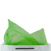 Tissue Paper L/GREEN 400x660 - 480 - RHEEM