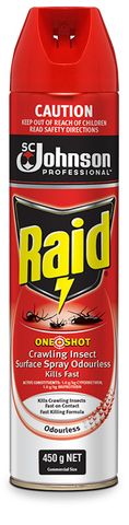 RAID ONESHOT CRAWLING INSECT SURFACE SPRAY - 450G - EACH