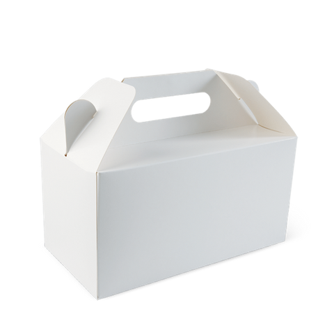 DETPAK LARGE CARRY PACK - WHITE 254X152X102MM - 200 - CTN