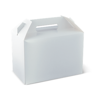 DETPAK EXTRA LARGE CARRY PACK - WHITE 250X150X175MM - 200 - CTN