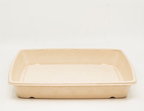 BIOWAY NATURAL SUGARCANE CATERING PLATTER - MEDIUM 12" - 300 x 300 x 40mm H - 100 - CTN ( BWCTM )