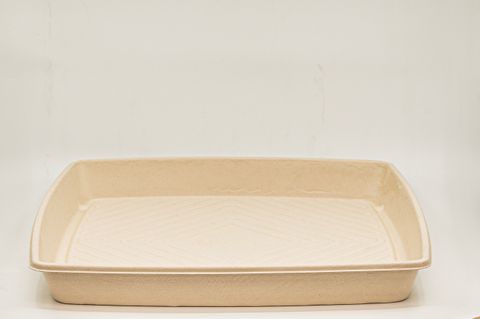 BIOWAY NATURAL SUGARCANE CATERING PLATTER - LARGE 16" - 400 x 400 x 40mm H - 50 - CTN ( BWCTL )