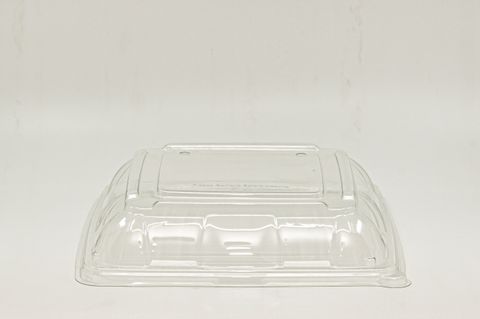 BIOWAY CLEAR PET LID FOR SMALL NATURAL SUGARCANE CATERING PLATTER 10" - 100 - CTN ( BWCTLS )