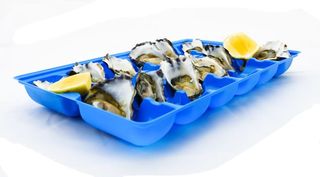 PINNACLE 12 POCKET OYSTER TRAY - BLUE - 300 - CTN