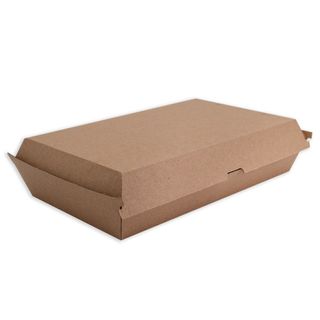 FUTURE FRIENDLY KRAFT CORRUGATED BOARD FAMILY BOX 290 x 173 x 60mm - ABFB - 100 - CTN