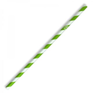 BIOPAK Green Stripe 6mm Regular Biostraws - 250 - SLV ( JP-PBS-6X197-GS )