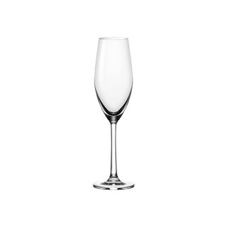 OCEAN SANTE CHAMPAGNE GLASS 210ML - CC301607 - 24 - CTN