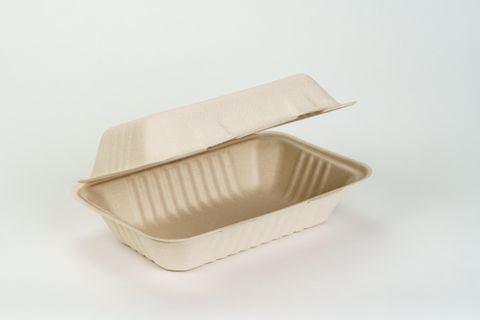 EKOPAK NATURAL SUGARCANE CLAMSHELL 1 COMPARTMENT 9X6X3 ( M ) - 125 - SLV ( eko062 )