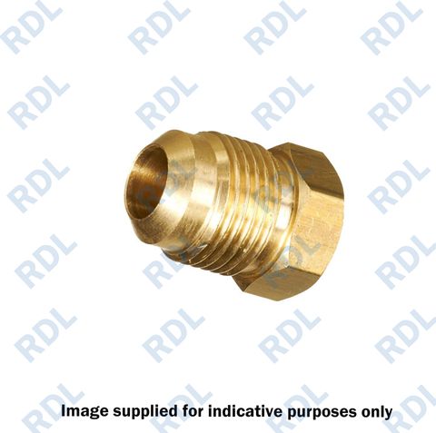 1/2' MSAE brass plug