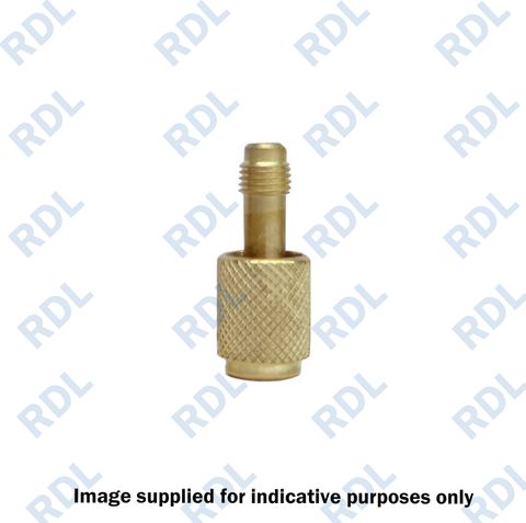 1/4'SAE antiblow back valve