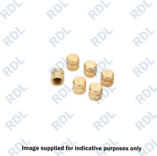 R410a brass cap 10/P