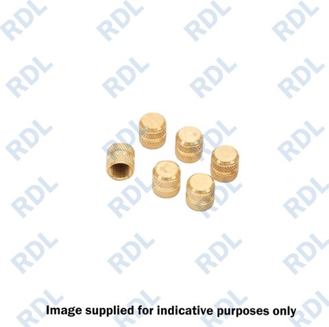 R410a brass cap 10/P