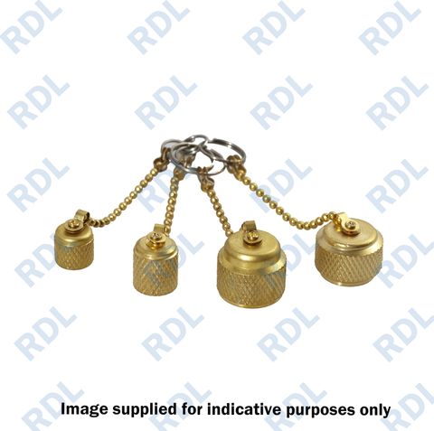 Vacuum pump cap kit with chains on one common ring