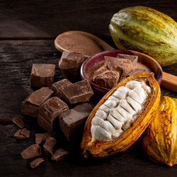 Cocoa prices are on the rise