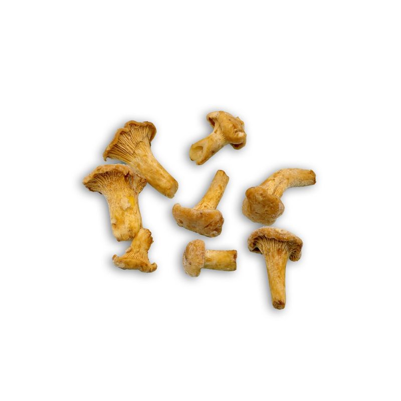 MUSHROOMS CHANTARELLES 2-4CM 1KG