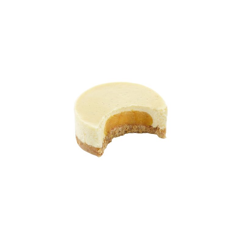 DESSERT EXOTIC CHEESECAKE 100G - 20 PCS