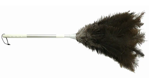 Feather Duster Ostrich - Large