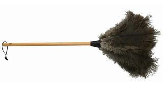Feather Duster Ostrich - Med