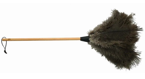 Feather Duster Ostrich - Med