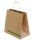 Kraft Singlet Bag (Ctn 200)