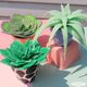 Felt Succulents Project - DIY Home Decor Crafts