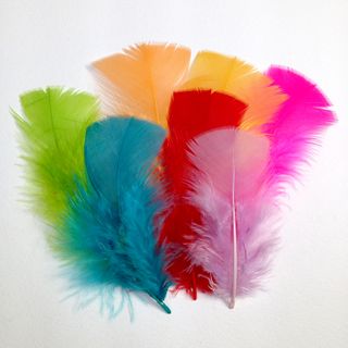 Craft Feathers Small Mixed Pkt 30