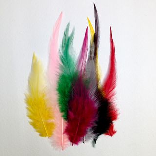 Craft Feathers Assorted Pkt 12