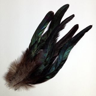 Craft Feathers Black/Green Multi Pkt 6