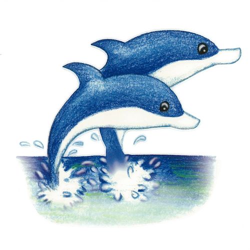 Dec/Transfers Two Dolphins