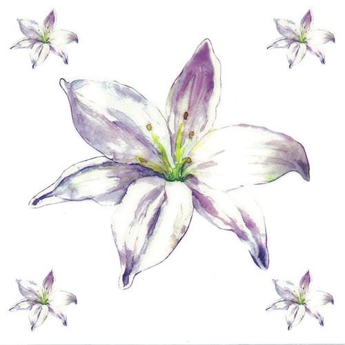 Dec/Transfers Mauve Flower