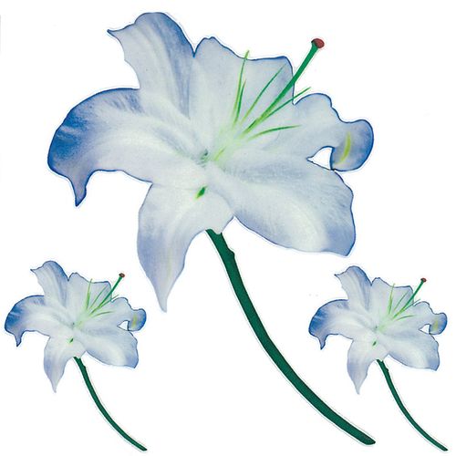 Dec/Transfers Blue Flowers