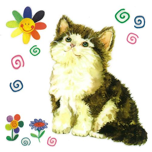 Dec/Transfers Kitten