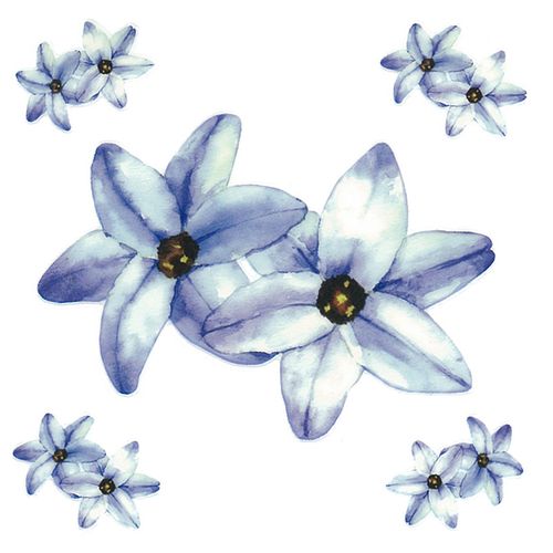 Dec/Transfers Blue Flower