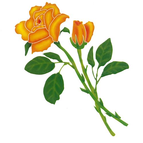 Dec/Transfers Yellow Roses