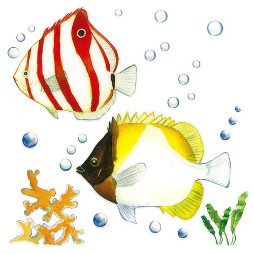 Dec/Transfers Red/Yellow Fish